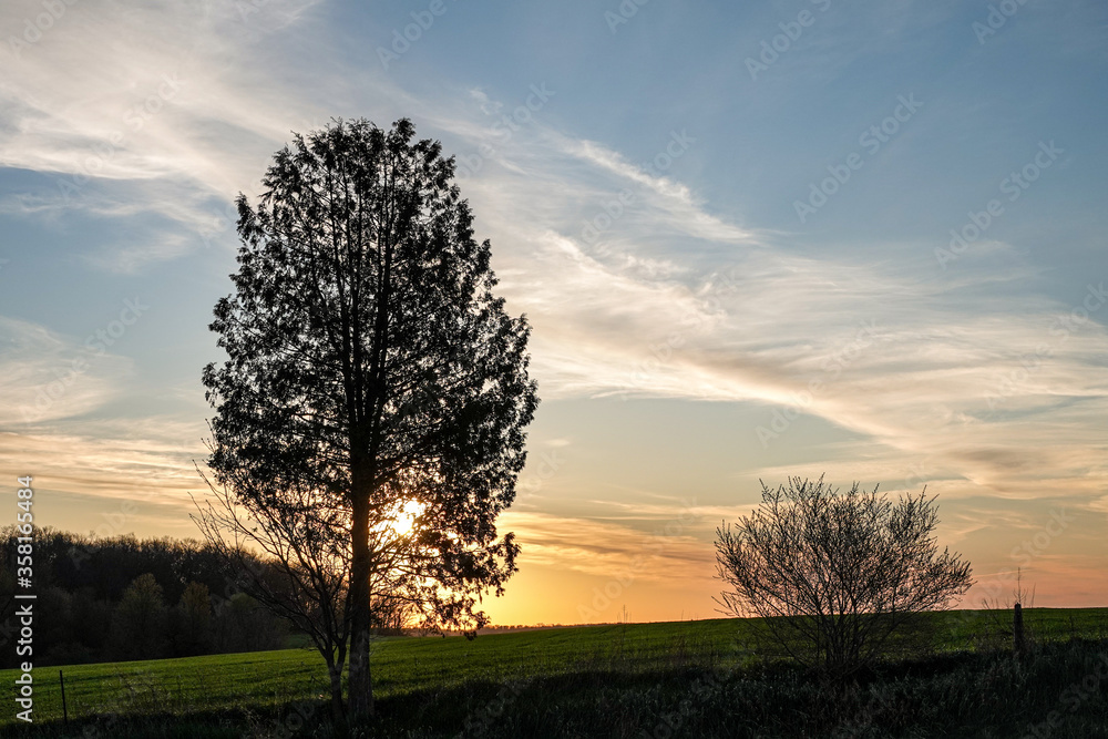 Fototapeta premium The Countryside on a Spring Day at Daybreak, Just South of Ayr, Ontario