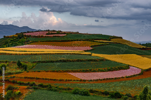 Dongchuan Redlands red soil earth fields Yunnan China  photo