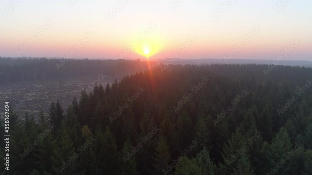 Aerial view of forest at sunrise Aerial view of forest at sunrise