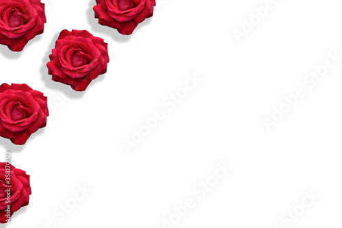 Fototapeta Naklejka Na Ścianę i Meble -  sfondo rose rosa cornice rossa petali profumato 