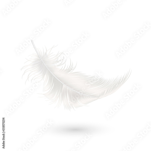 Vector 3d Realistic Falling White Fluffy Twirled Feather Icon Closeup Isolated on White Background. Design Template, Clipart of Angel or Bird Detailed Feather