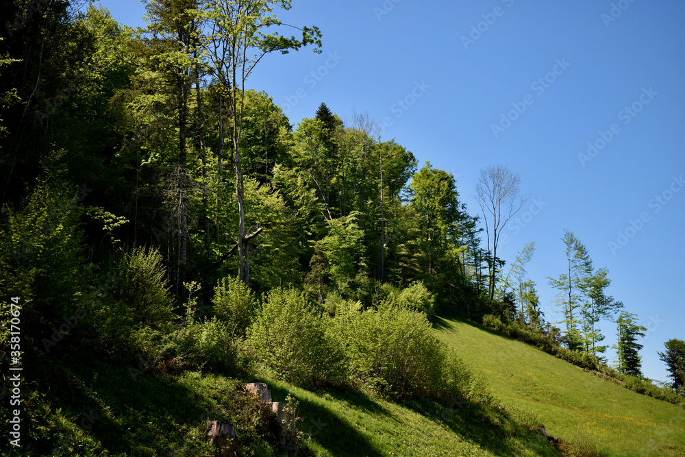 Fototapeta premium Landschaftsidylle im Appenzellerland in der Schweiz 7.5.2020