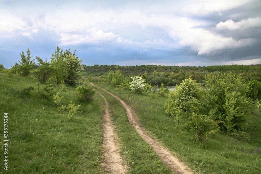 Fototapeta premium Field in the road among the hills. Landscape in nature in the reserve in the park. Stock photo background