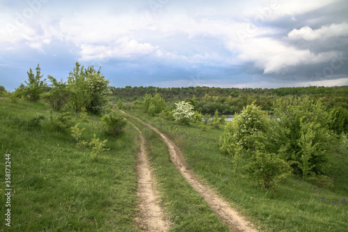 Field in the road among the hills. Landscape in nature in the reserve in the park. Stock photo background