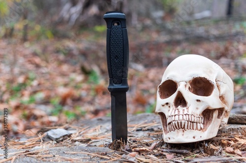 Big knife and a human skull. Knife and skull on a stump in the forest.