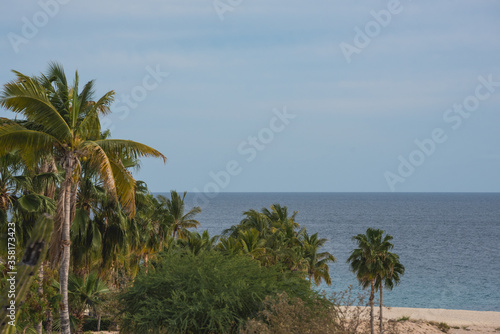 Beautiful Nature of  San Jose Del Cabo   Saint Joseph of the Cape  Mexican Town