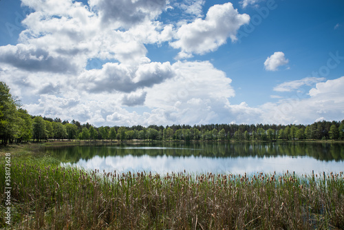 A quiet lake near a green forest under a blue cloudy sky
