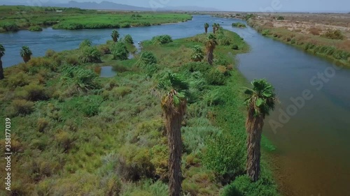 River Lake Palm Tree Vacation Landscape photo