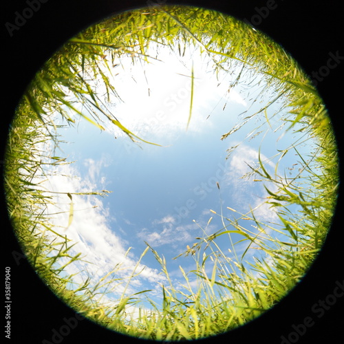 Around on Sky. Taken with a fisheye lens to give the special plate effect. The fresh air feel and clear blue sky are shown on the picture. Out of focus.