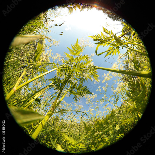 Around on Sky. Taken with a fisheye lens to give the special plate effect. The fresh air feel and clear blue sky are shown on the picture.
