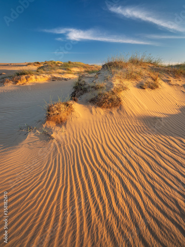 Tela golden guide lines on the sand dunes in desert with copy space in sunset