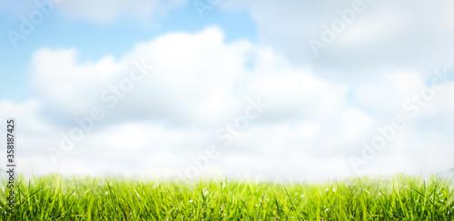 Lush green grass outdoors on sunny day. Banner design