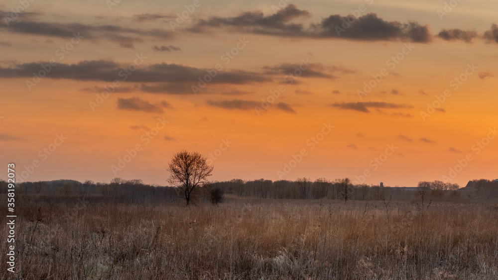 Muted orange sky at sunset over a grassy nature area