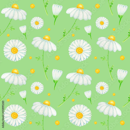 Fényképezés Watercolor daisy chamomile flower seamless pattern illustration