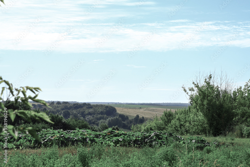 Obraz premium Beautiful summer landscape of nature countryside. Green vegetation of grass and trees with hills. Stock photo for design