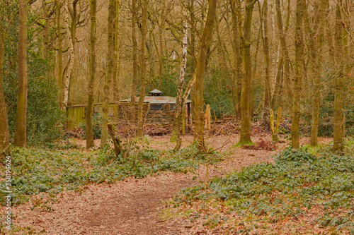 Landscape shot of an opening in the woods, with a cabin in the distance.