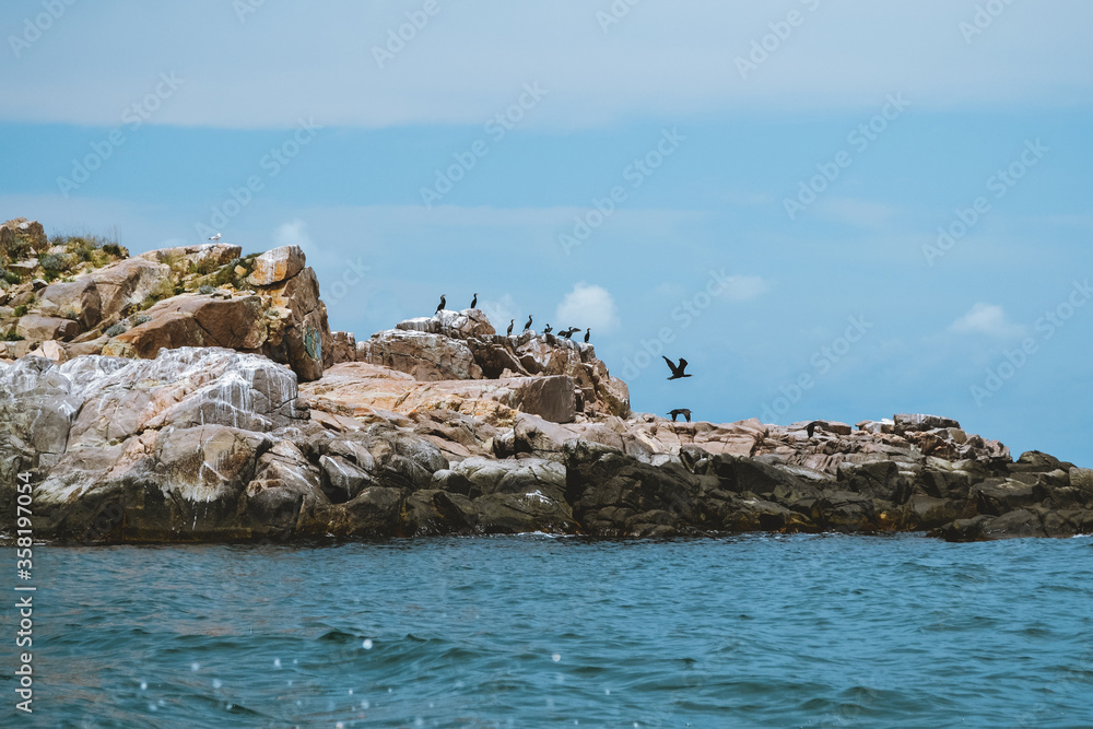 Fototapeta premium Cormorant birds resting on rocks in the Black Sea