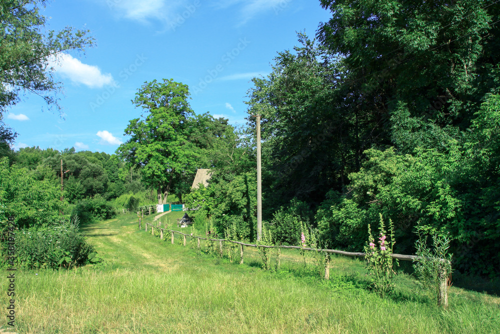 Road in the village among beautiful nature. Landscape in the summer. Stock photo background Road in the village among beautiful nature. Landscape in the summer. Stock photo background