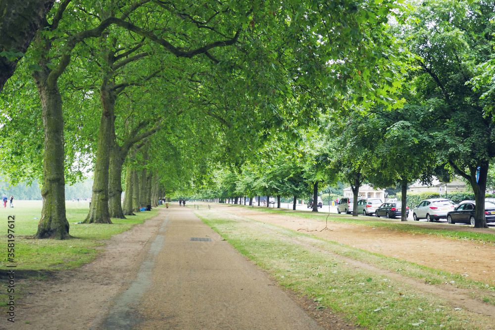 Beautiful green park, city of London England.