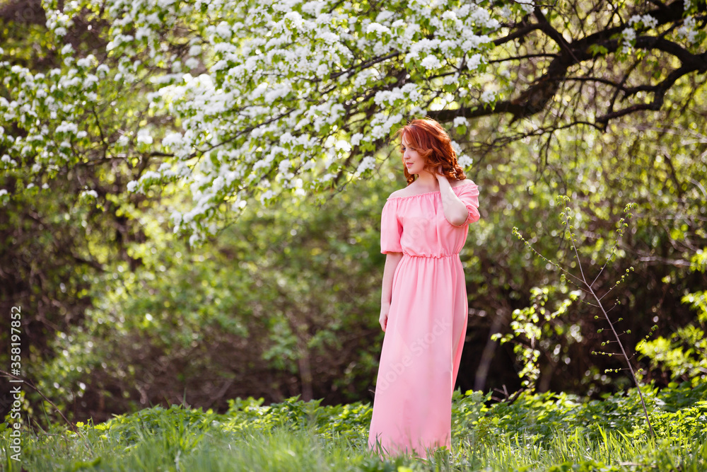 Young woman in romantic long pink dress in a blooming apple garden. Wind is hairs. Spring story. Red-haired girl smiles and plays with her hairs. Young woman in romantic long pink dress in a blooming apple garden. Wind is hairs. Spring story. Red-haired girl smiles and plays with her hairs.