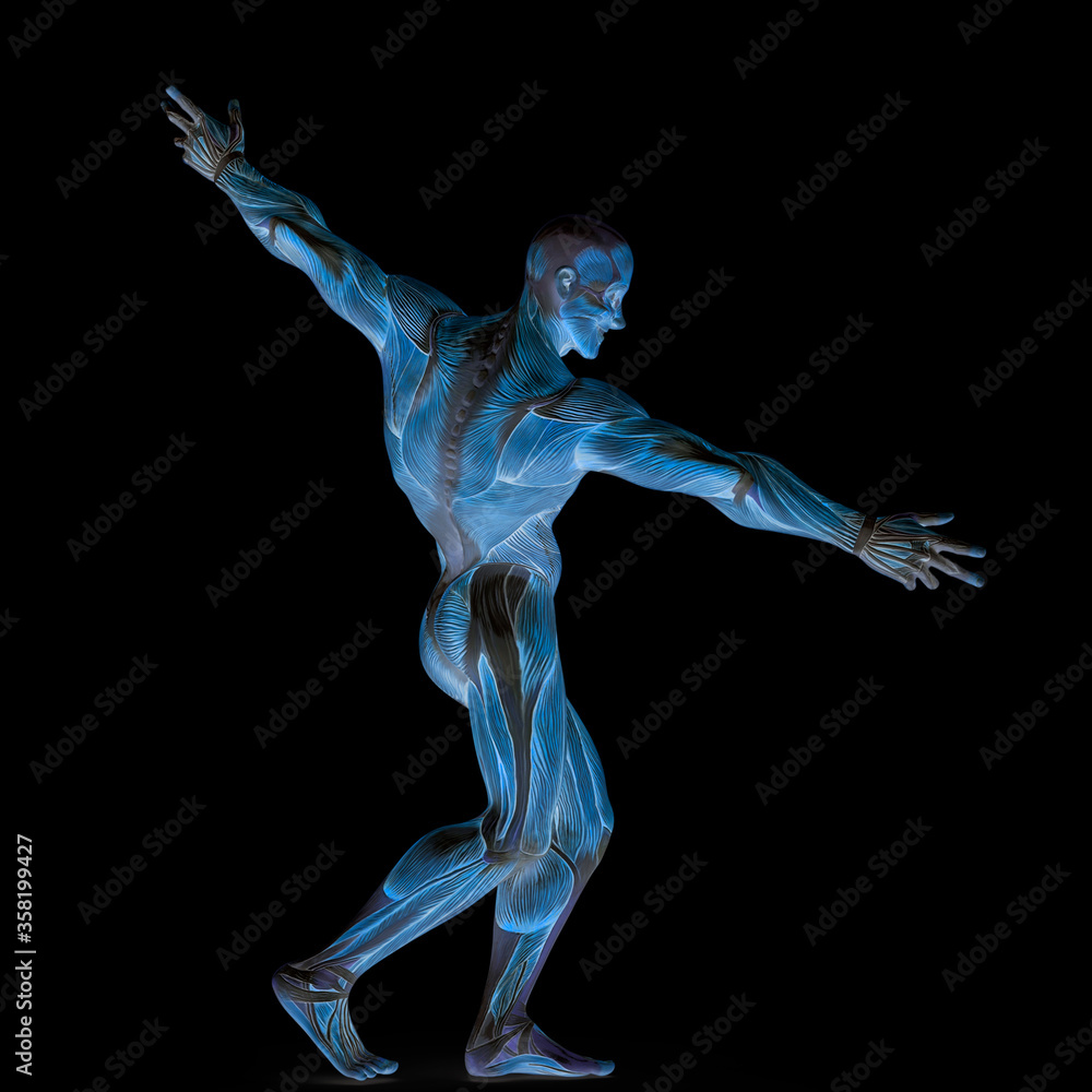 muscleman anatomy heroic body doing a bodybuilder pose nine in white background muscleman anatomy heroic body doing a bodybuilder pose nine in white background
