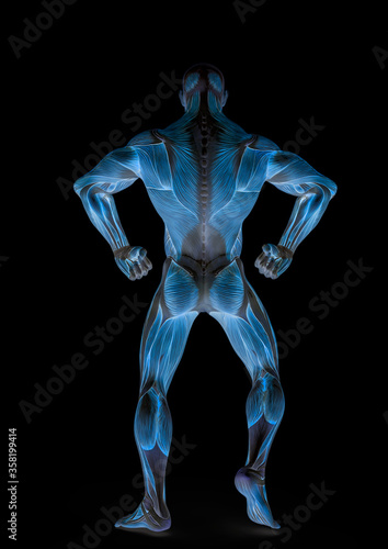 muscleman anatomy heroic body doing a bodybuilder pose four in white background_ © DM7