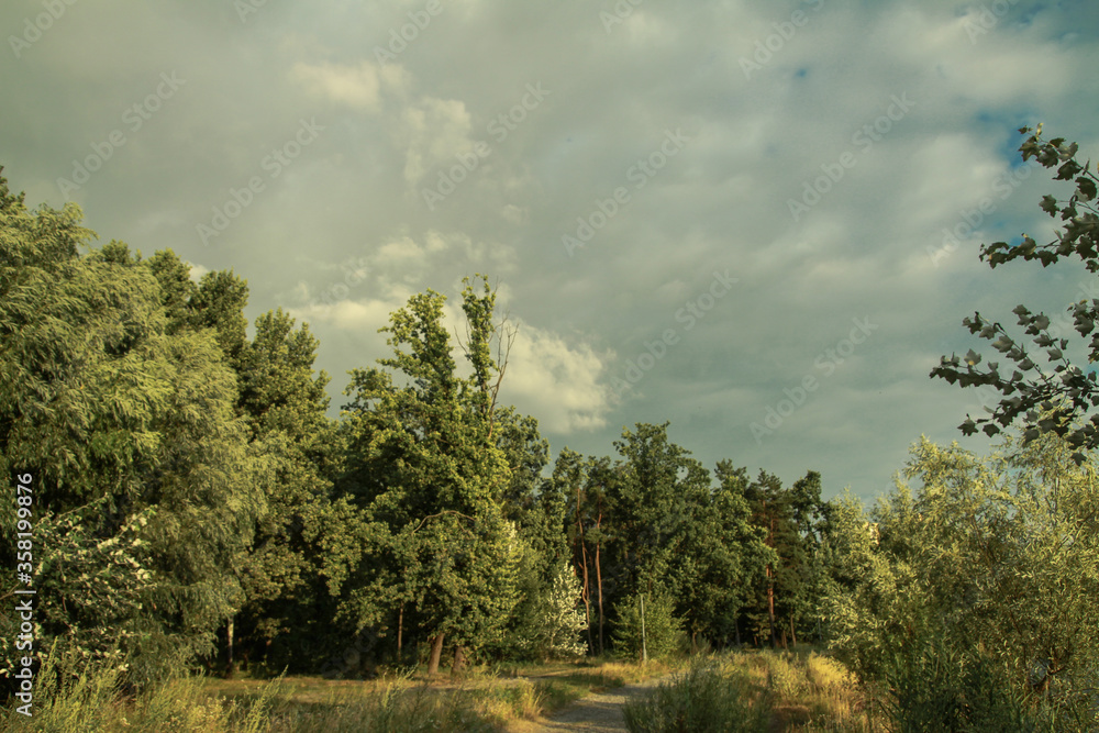 Obraz premium Beautiful summer landscape of nature countryside. Green vegetation of grass and trees with hills. Stock photo for design