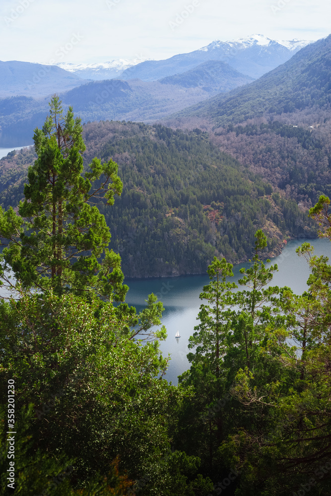 Boat Lake Trees