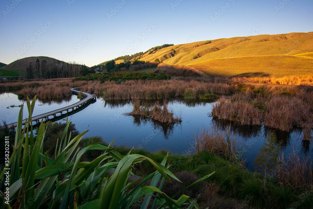 Wetlands during the sunset, Hawke's Bay