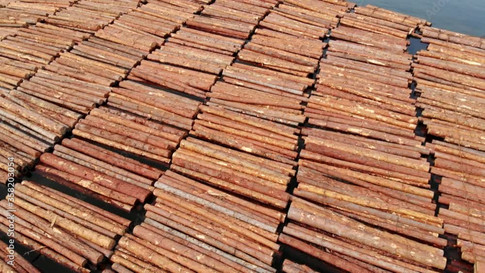 Deforestation concept, aerial view of cut down trees transported by water. Logging and felling, forestry. Illegal logging - harvest, transportation, sale of timber. Log trunks pile, wood industry. Deforestation concept, aerial view of cut down trees transported by water. Logging and felling, forestry. Illegal logging - harvest, transportation, sale of timber. Log trunks pile, wood industry.