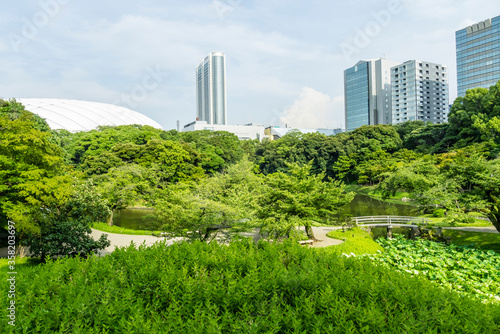 Canvas Print Green of Koishikawa Korakuen Gardens in Middle of Tokyo
