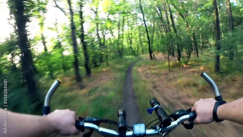 Cycling through the forest. First-person cycling through the woods. Healthy lifestyle concept. Cycling through the forest. First-person cycling through the woods. Healthy lifestyle concept.