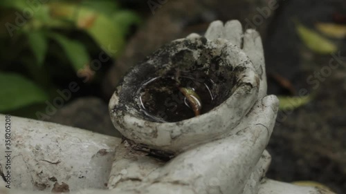 Rain drops ripple as they hit the puddle in a cup in the hand of a statue in Ho Chi Minh City, Vietnam. photo