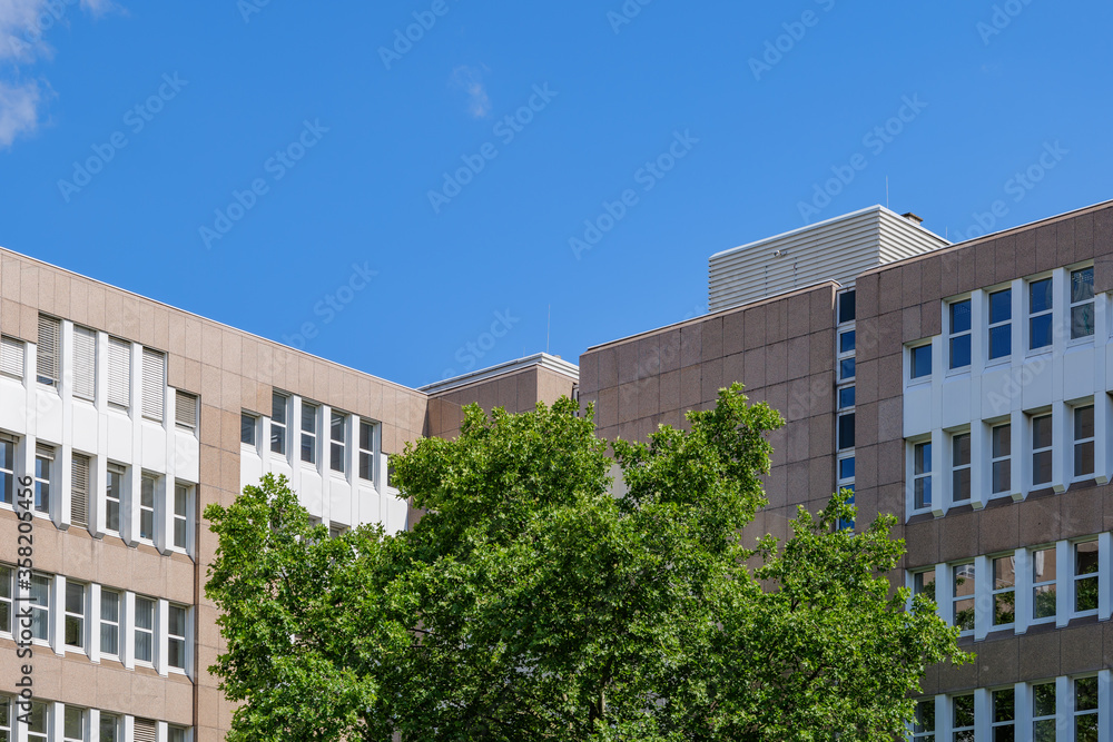 Outdoor sunny view of treetop at the courtyard, square or plaza surrounded with typical modern office building against blue sky.
