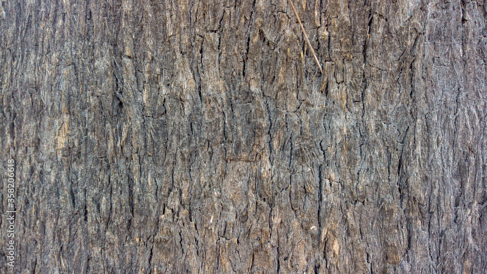 Fototapeta premium textura de madera rugosa
