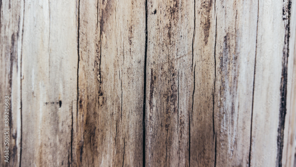 textura de madera textura de madera