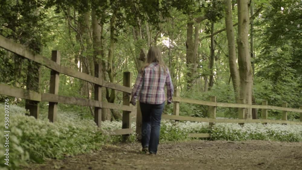 Woman taking a relaxing walk in English ramson filled woodland wide landscape shot Woman taking a relaxing walk in English ramson filled woodland wide landscape shot