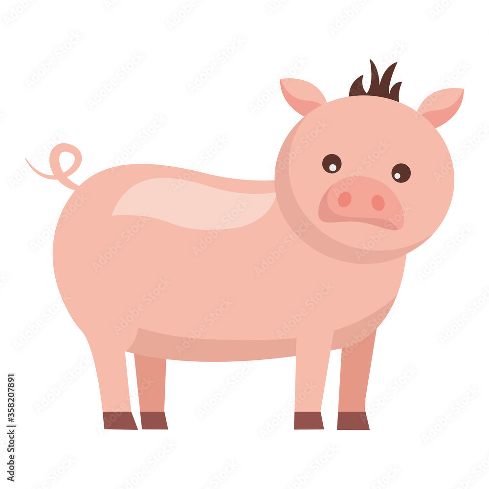 Isolated farm cute pig vector design Isolated farm cute pig vector design