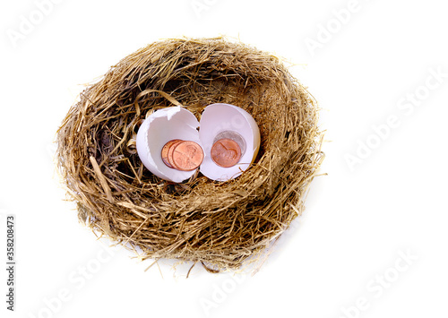 Fotografie A nest with a broken egg and small change