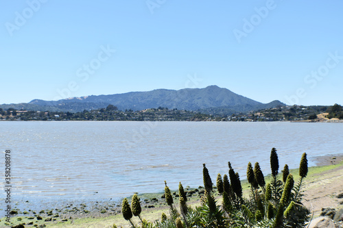 Beautiful View In Tiburon Looking Out At Richardson Bay With Mount Tamalpais In Marin County California 