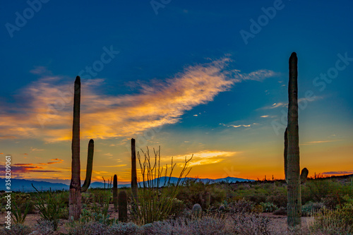 "Tonto National Forest Sunset"