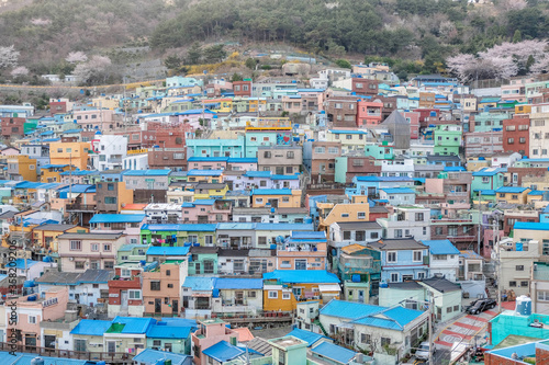 View of Gamcheon Culture Village, Busan, South Korea. © sahachat