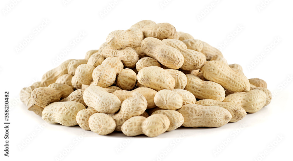 peanuts on white background peanuts on white background