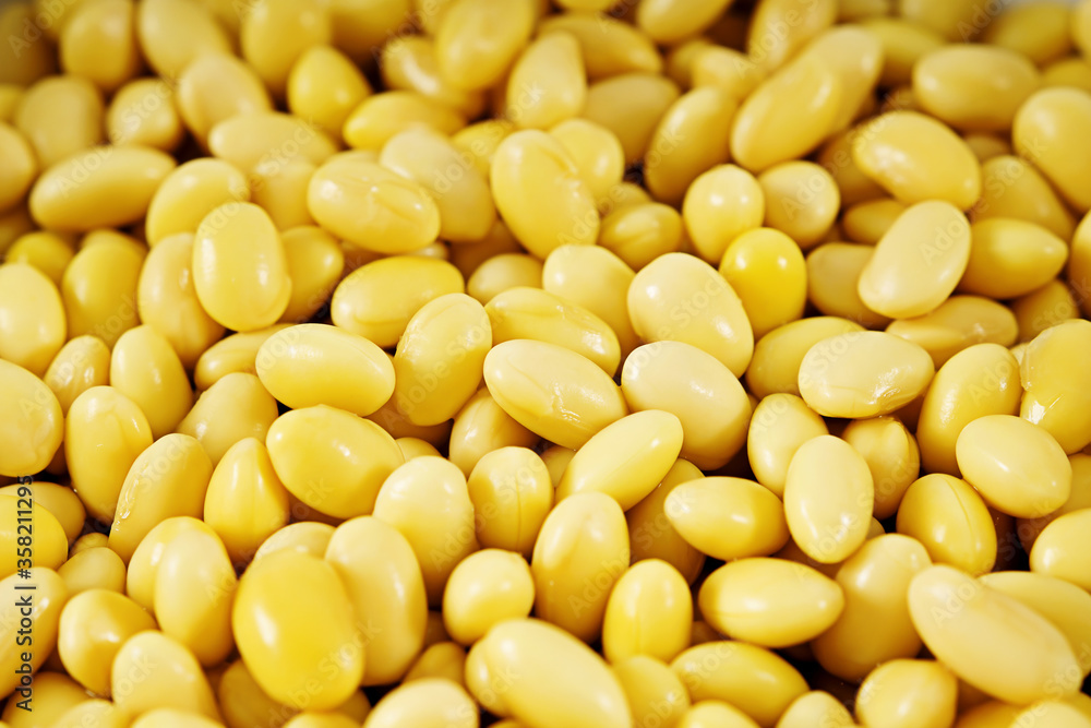 beans isolated on white background beans isolated on white background
