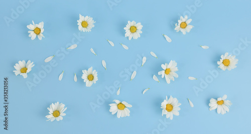 Flat lay of Daisy Flower pattern on blue background.