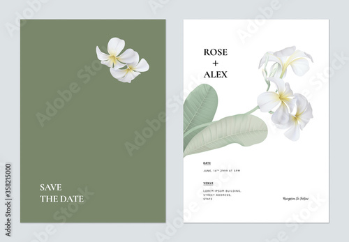 Minimalist floral wedding invitation card template design, white plumeria flowers  with leaves on green and white