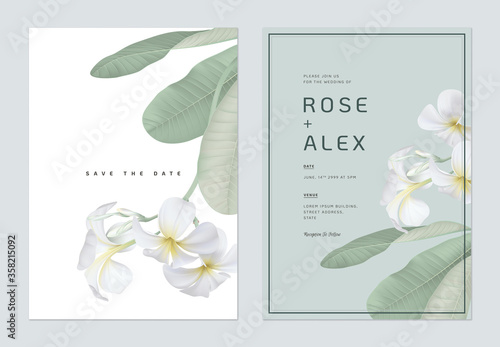 Floral wedding invitation card template design, white plumeria flowers  with leaves on bright green and white photo