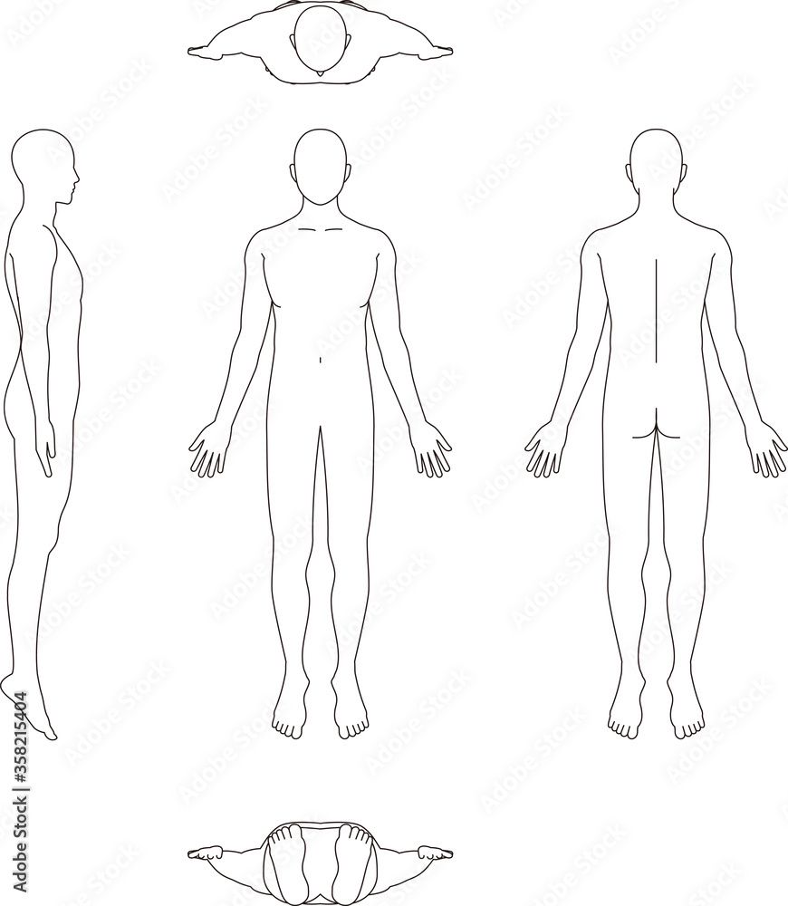 人体のイラスト。男性の略図 人体のイラスト。男性の略図