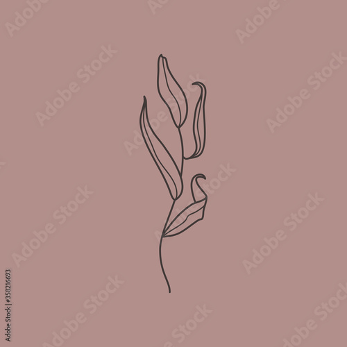 Willow branch with leaves in a trendy minimalistic style Fototapeta