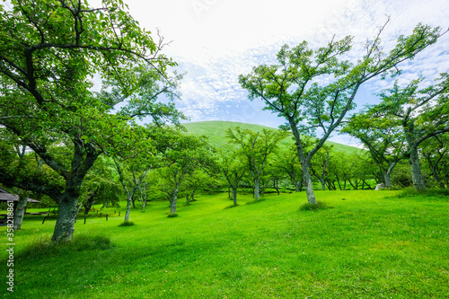 静岡県伊豆半島の大室山 © kazu8